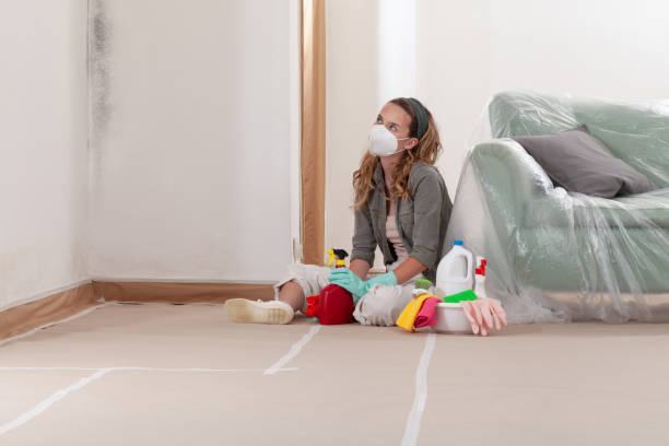 Reliable Mold Testing contractor in Gaston, NC by WQB Mold Removal